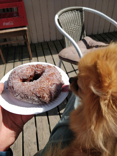 Kuninkaantammentie 19, 00430 Helsinki