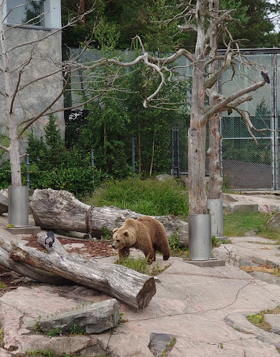 Mustikkamaanpolku 12, 00570 Helsinki