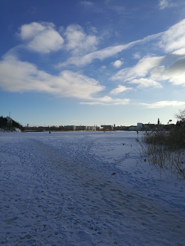 Ravintola Töölönranta - Ravintola-ala