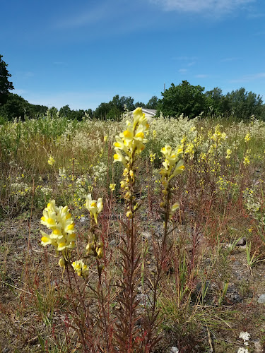 Comments and reviews of Ravintola Reposaari