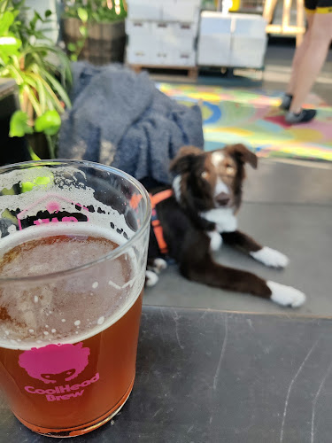 CoolHead Brew / CoolHead Taproom