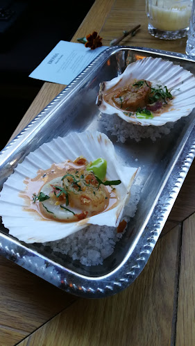 Comentarii opinii despre Bronda