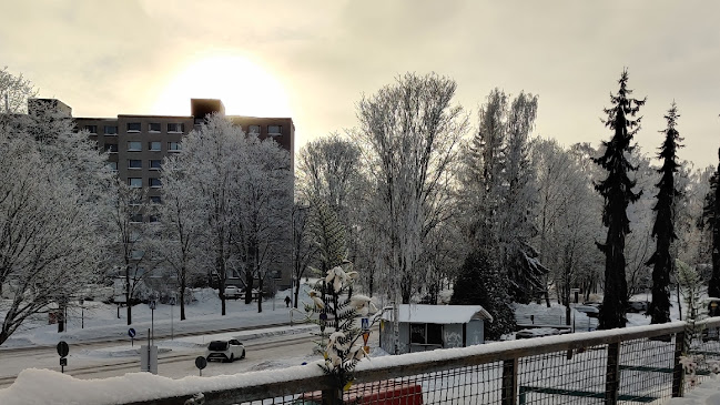 Comentarii opinii despre Ravintola Piilopaikka