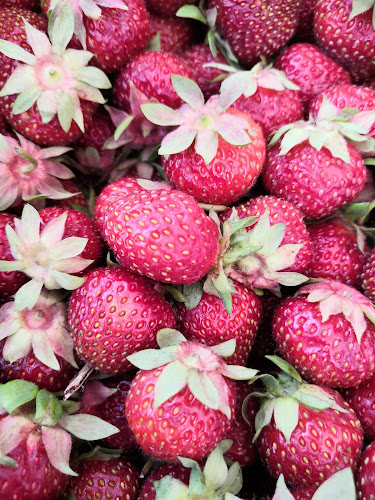 Tikkurilantori, Tikkurilan uusi tori - Ravintola-ala