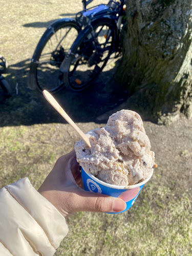 Comentarii opinii despre Helsingin jäätelötehdas, Kaivopuiston jäätelökioski