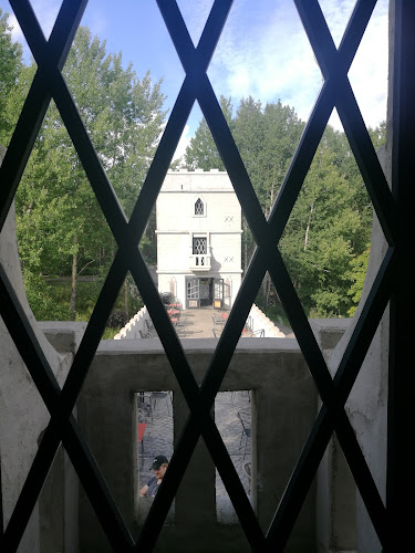 Olavi Mattsson Phone number