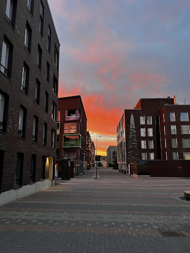 Comentarii opinii despre Kaikki Ravintola