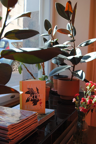 Comentarii opinii despre Kakkupalvelu Pala