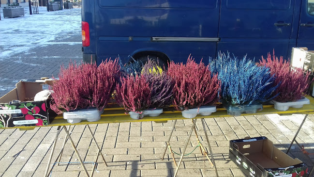 Citybrasserie - Ravintola-ala