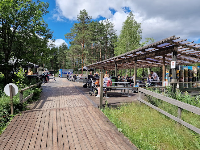 Kaakkolampi Cafe - Inha