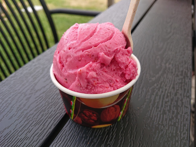 Kesäkahvila Rento - Ravintola-ala