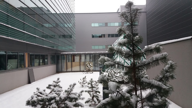 Ravintola Sulo Puisto - Joensuu