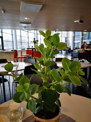 Comentarii opinii despre Juvenes Ravintola Komia