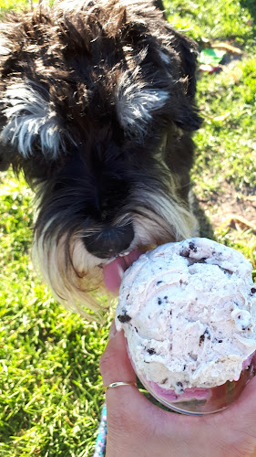 Long Van Jäätelö - Vaasa