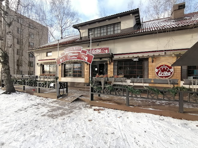 Ravintola Erika - Ravintola-ala