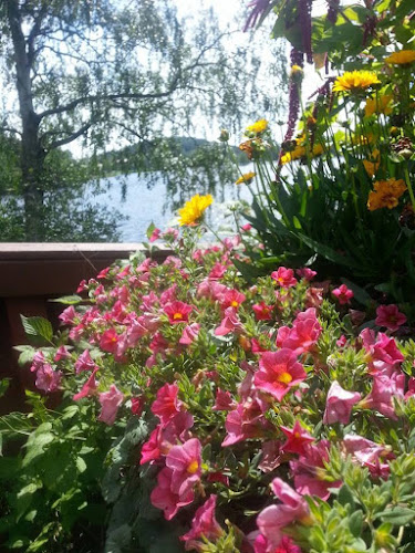 Vanha Mylly Phone number