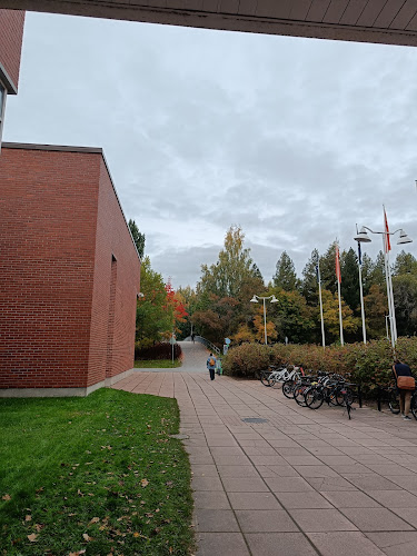 Comentarii opinii despre Ravintola Maija