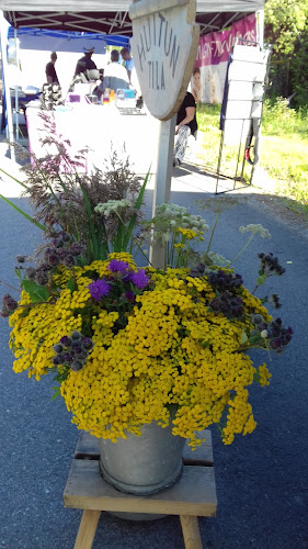 Kyläraitti 74, 38420 Sastamala