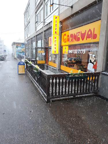 Comentarii opinii despre Pizza Carneval Loviisa