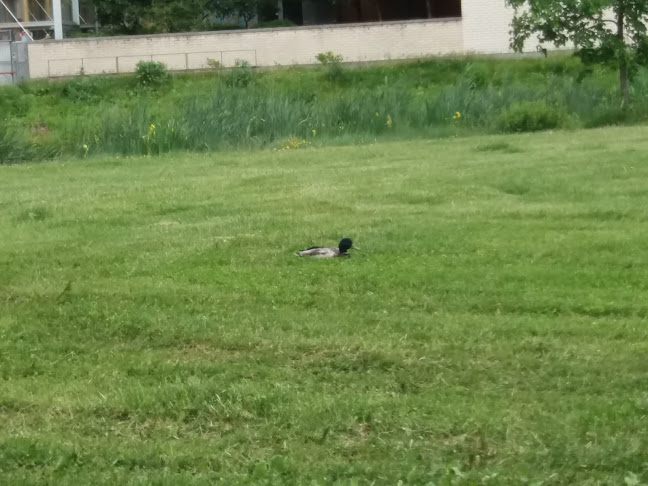 Amica-ravintola Hoiva Viikki Open Times