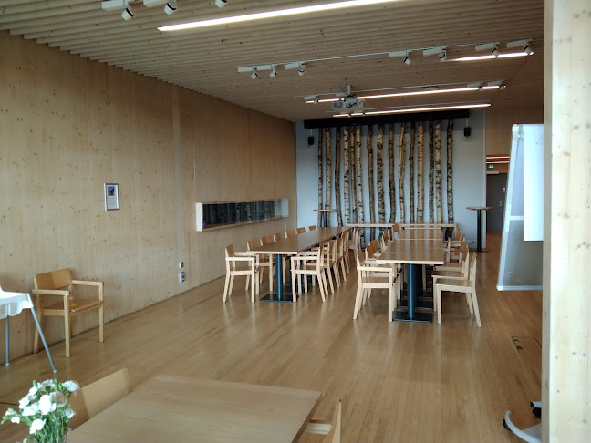 Opinii despre Ravintola Haltia în Espoo - Ravintola-ala