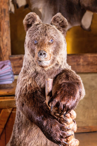 Viikinkiravintola Harald - Ravintola-ala