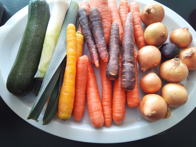 Opinii despre Kuntalaisten olohuone în Varkaus - Ravintola-ala