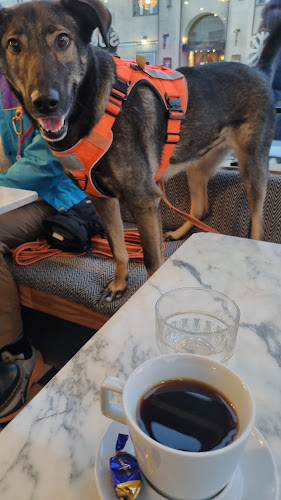 Comentarii opinii despre Fazer Café Tempon talo