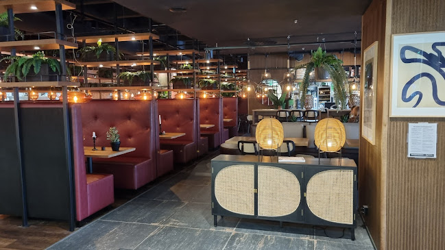 Comentarii opinii despre Raisu