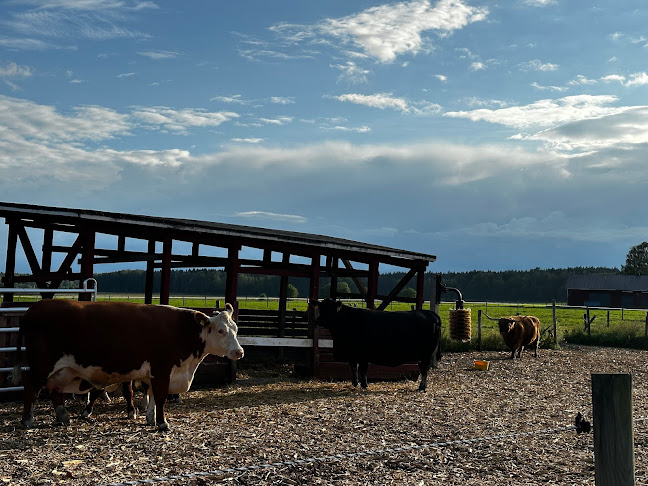Comentarii opinii despre Ravintola Wanha Pehtoori