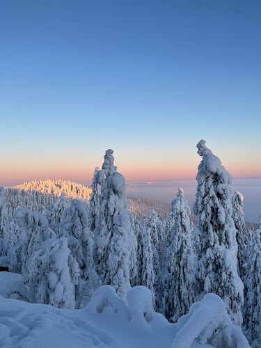 Ylä-kolintie 39, 83960 Koli