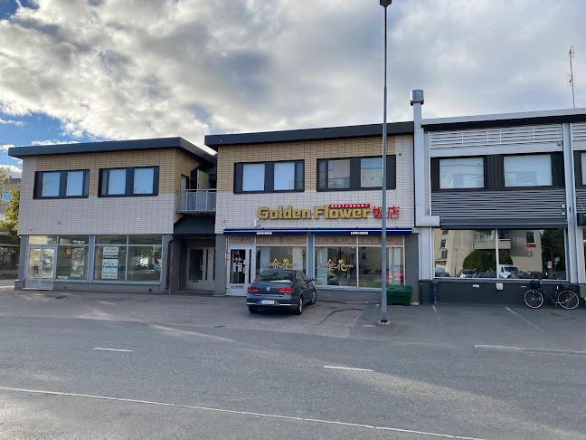 Comentarii opinii despre Ravintola Golden Flower