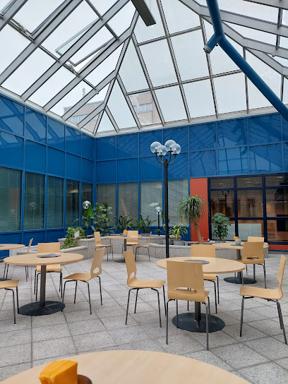 Tommi's Kitchen & Catering