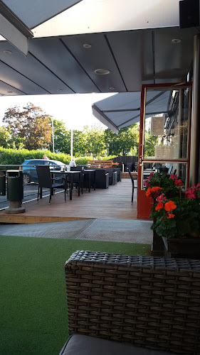 Comentarii opinii despre Dillo