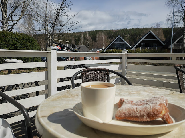 Comentarii opinii despre Aetoleipuri Oy