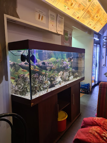 Comentarii opinii despre Mezopotamya47 Ravintola Kontula