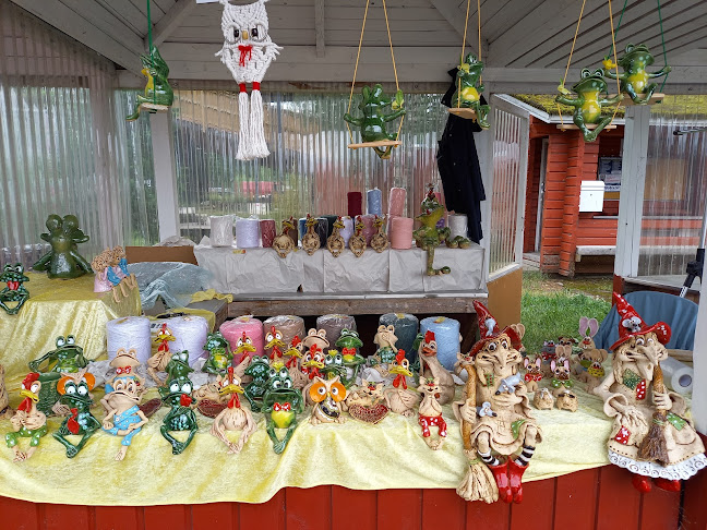 Opinii despre Somerniemen kesätori în Somerniemi - Ravintola-ala