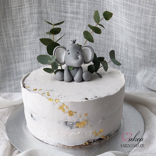 Makea kakuntekijä Oy