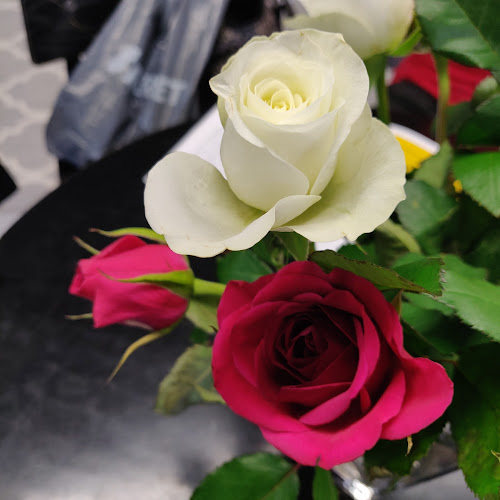 Olkkari - Ravintola-ala