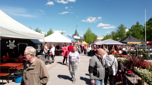 Comentarii opinii despre Forssan tori