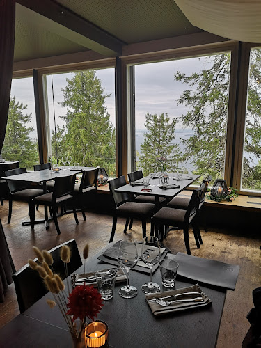 Grill it! Koli - Ravintola-ala