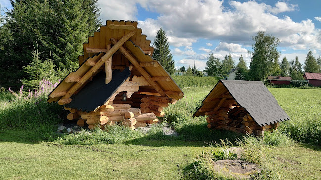 Comentarii opinii despre Pizzaamo e-kuluma