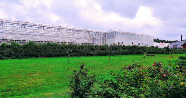 Linds Kök - Ravintola-ala