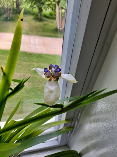 Ravintola Hannes - Ravintola-ala