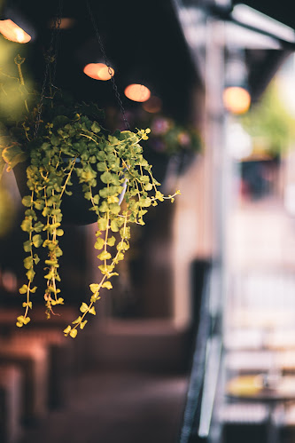 Ravintola Teerenpeli - Ravintola-ala