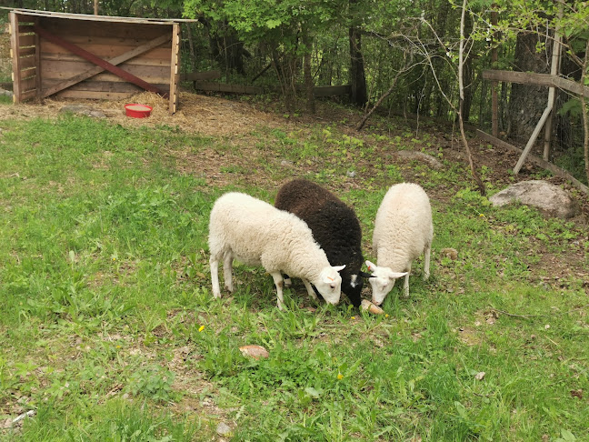 Immulan Mummulan Kahvila - Lohja