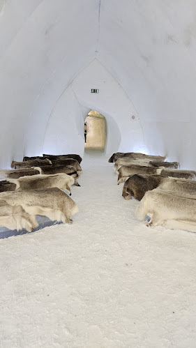 Comentarii opinii despre Ice Restaurant of Arctic Snowhotel