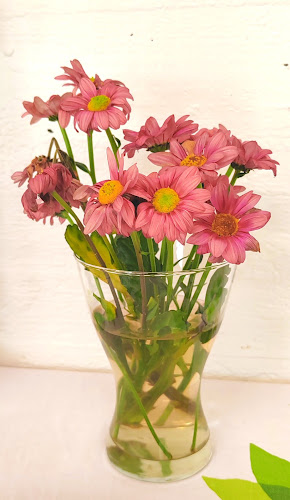 Koskitie 50, 35500 Juupajoki