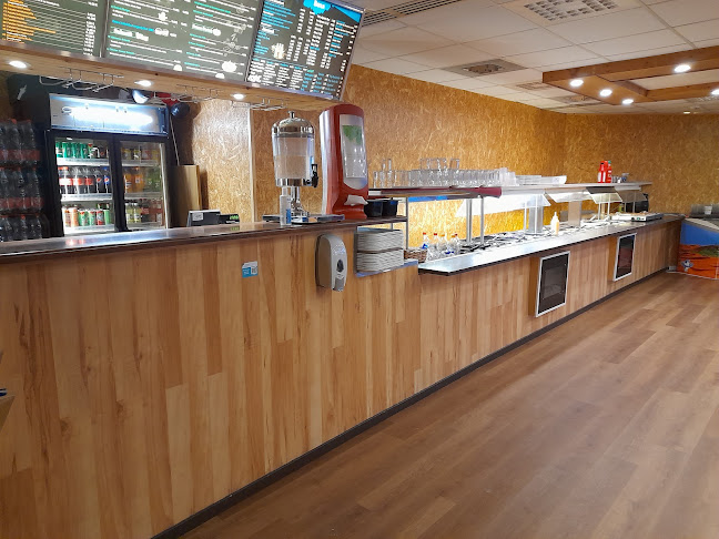 Comments and reviews of Kajaanin Lori