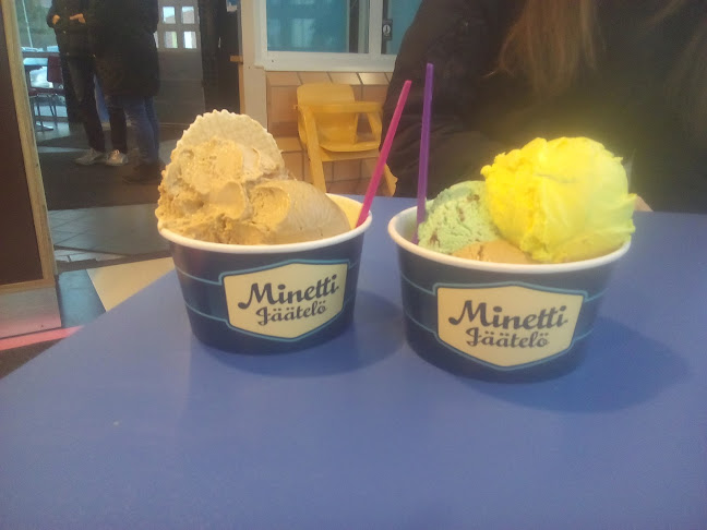 Comentarii opinii despre Höyhtyän Grilli